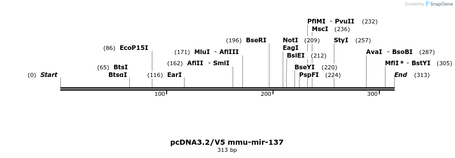 12411_map