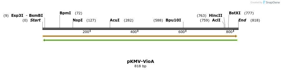 124110_map