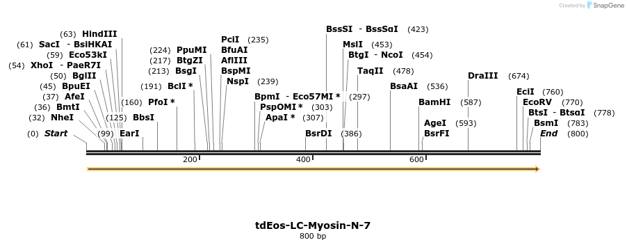 124111_map