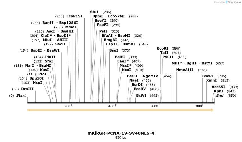 124113_map