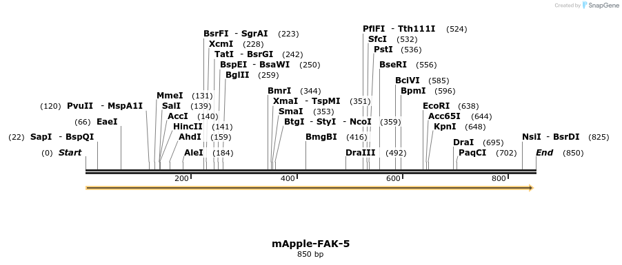 124114_map