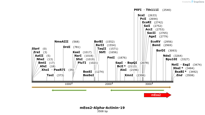 124117_map