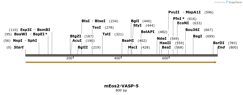 124118_map