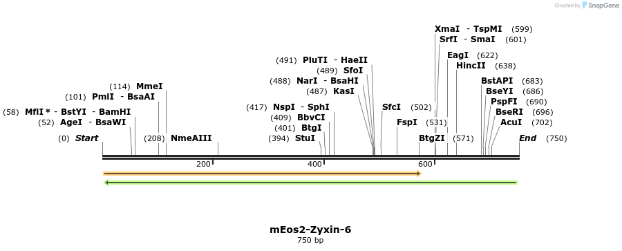 124119_map