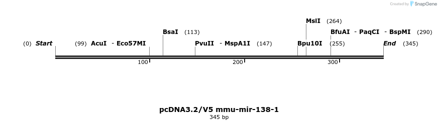12412_map