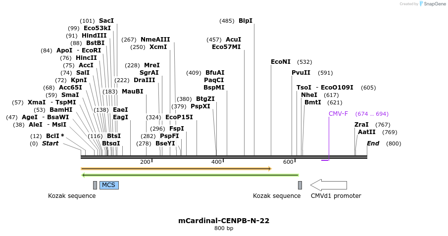 124120_map