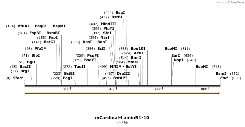 124121_map