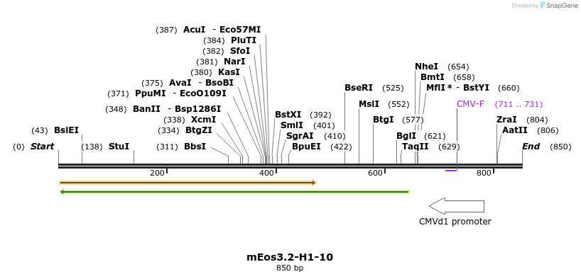 124123_map