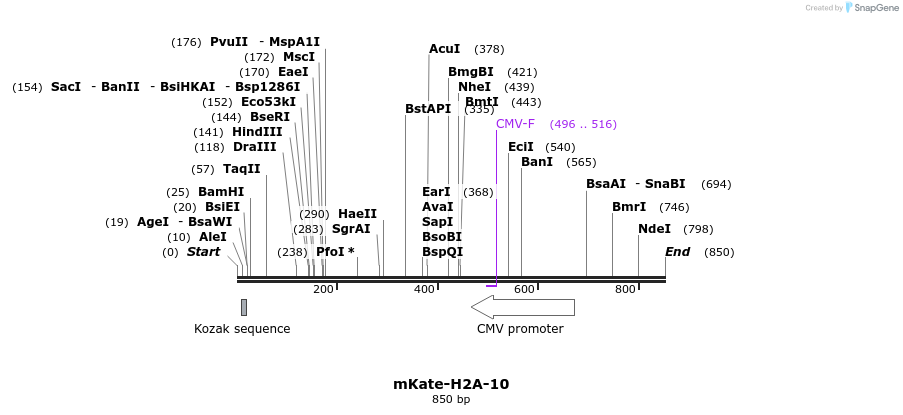124125_map