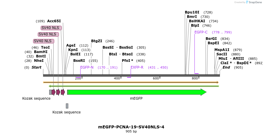 124128_map