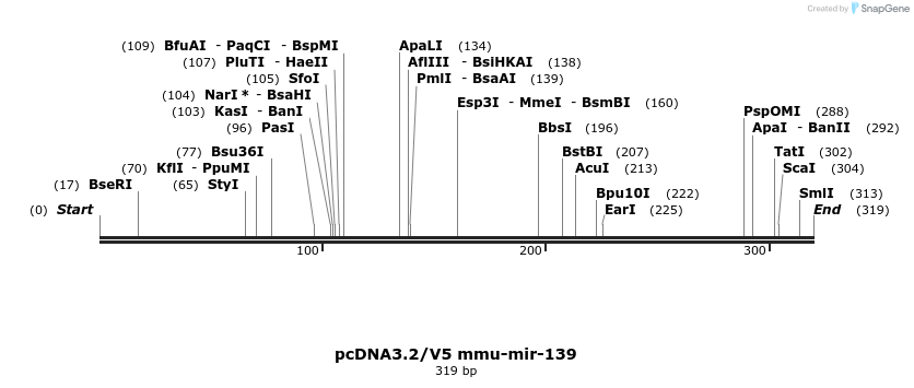 12413_map