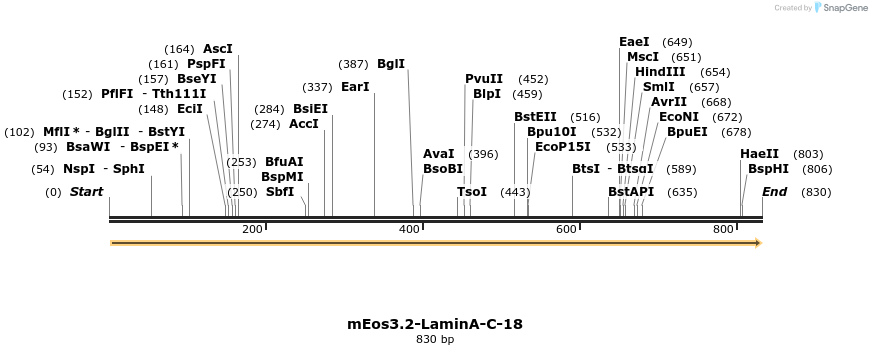 124130_map