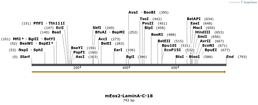 124131_map