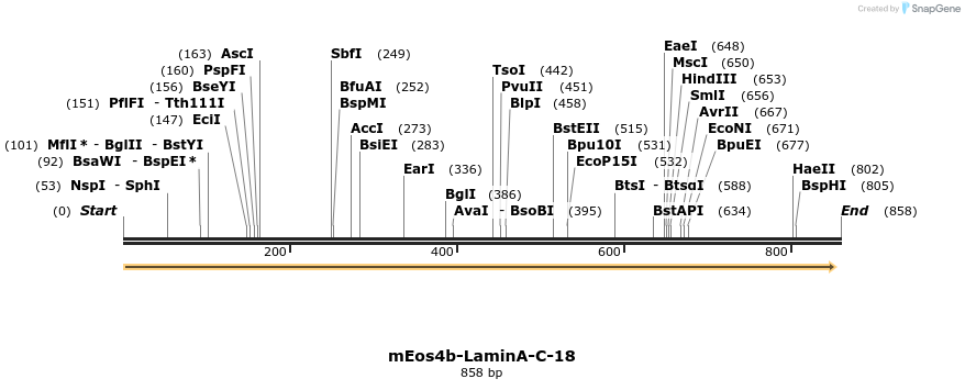 124132_map