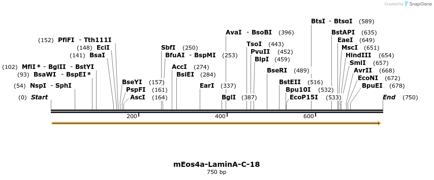 124133_map