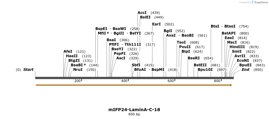 124134_map