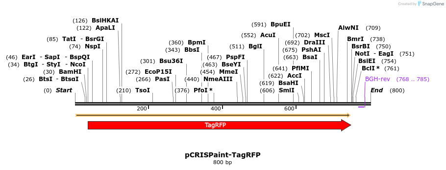 124136_map