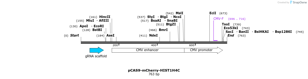 124137_map