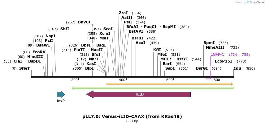 124138_map