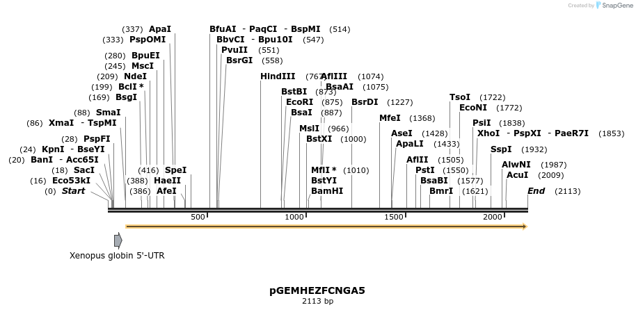 124139_map