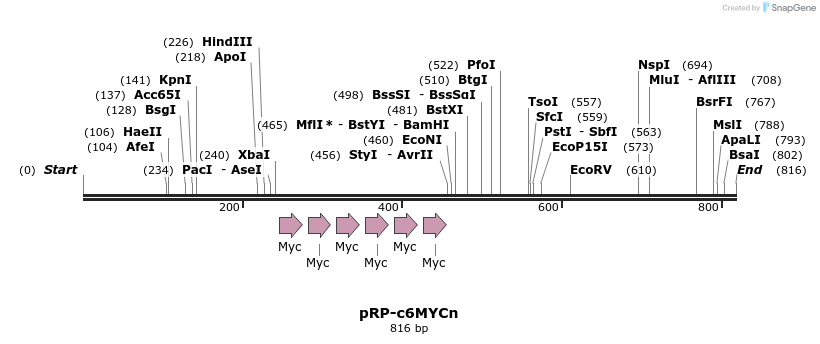124142_map