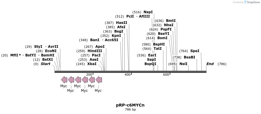 124143_map