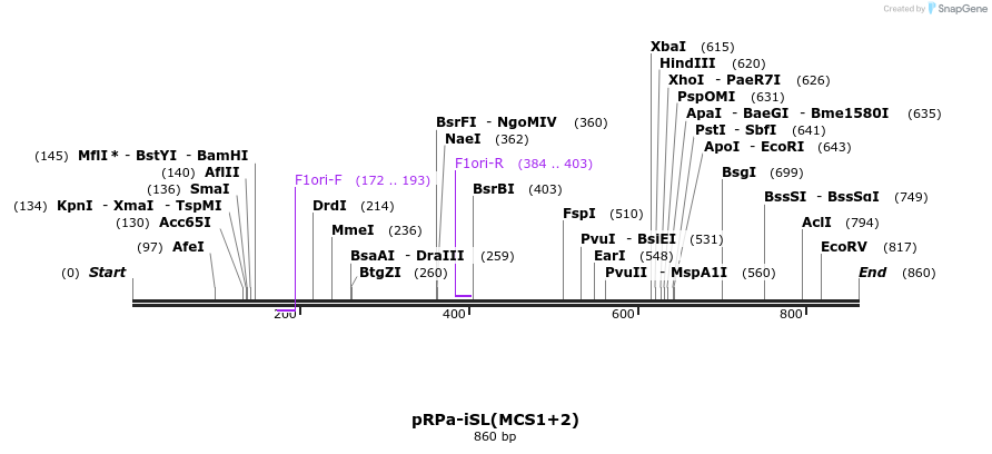 124144_map