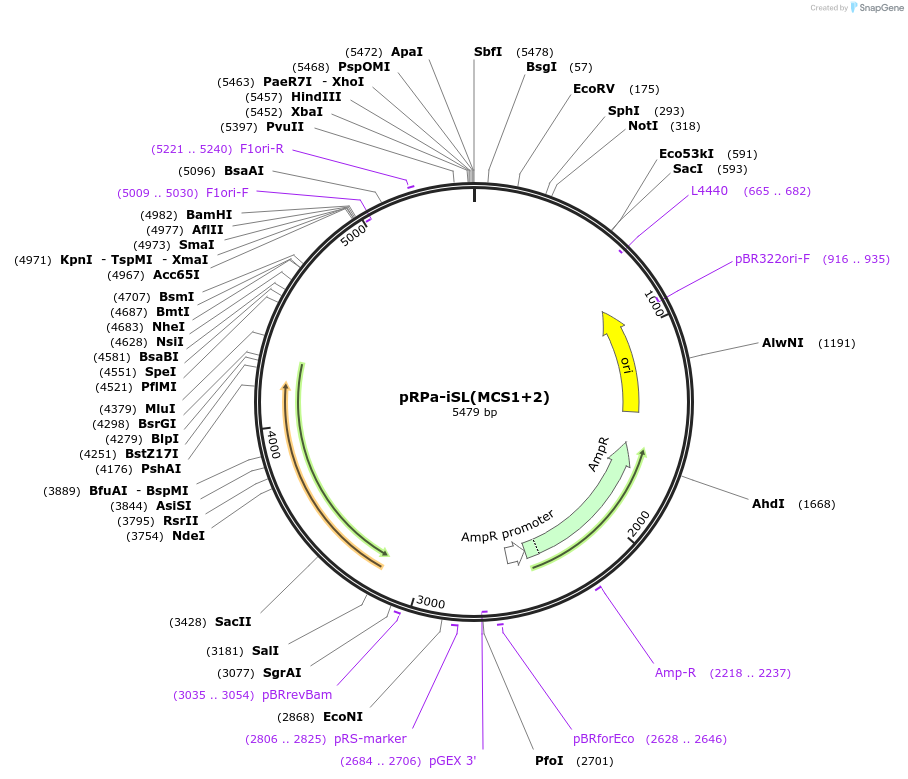 124145_map