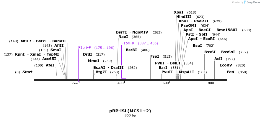 124146_map