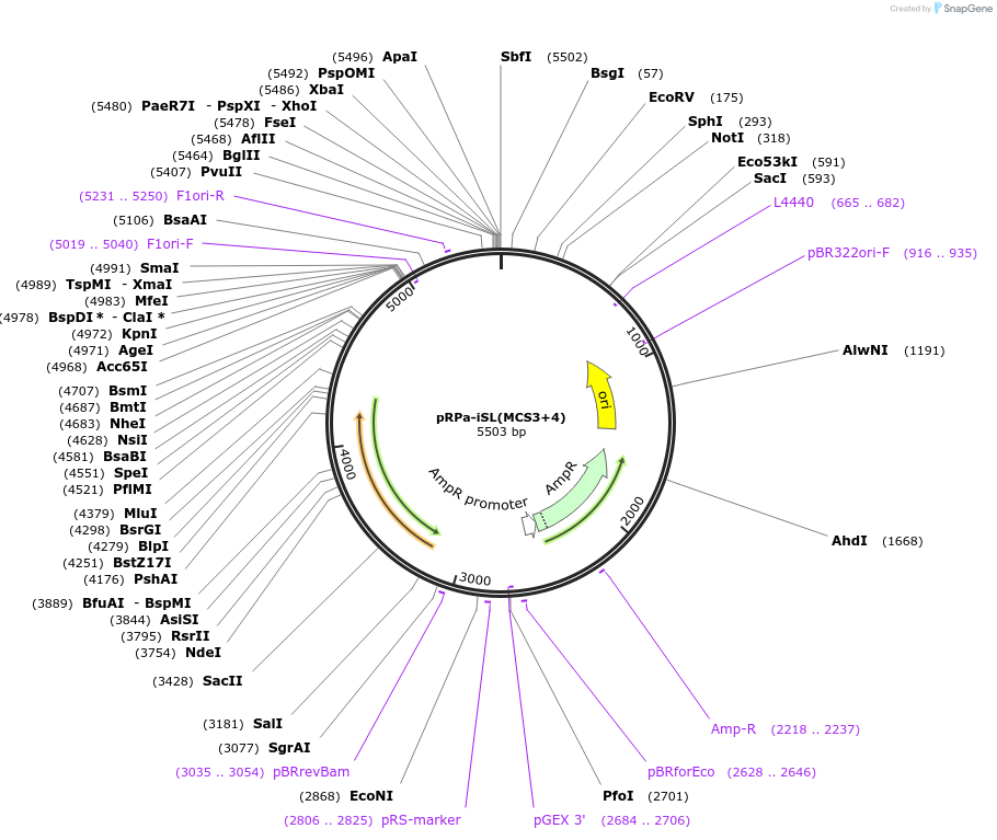 124148_map