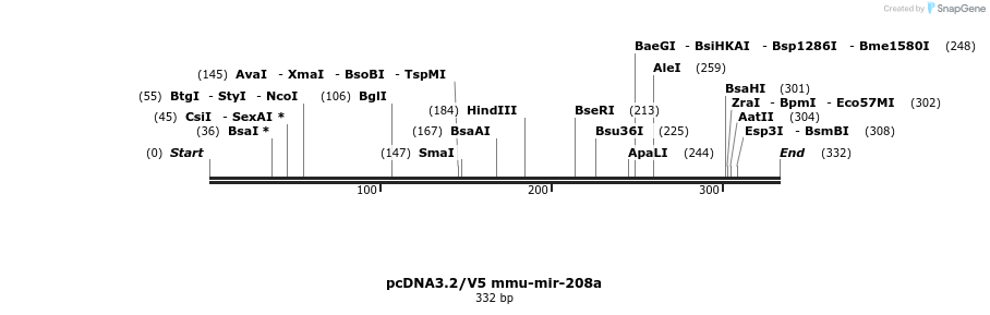 12415_map