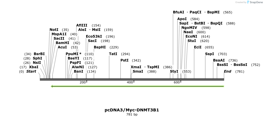 124155_map