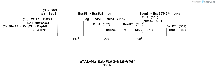 124157_map