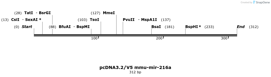12416_map