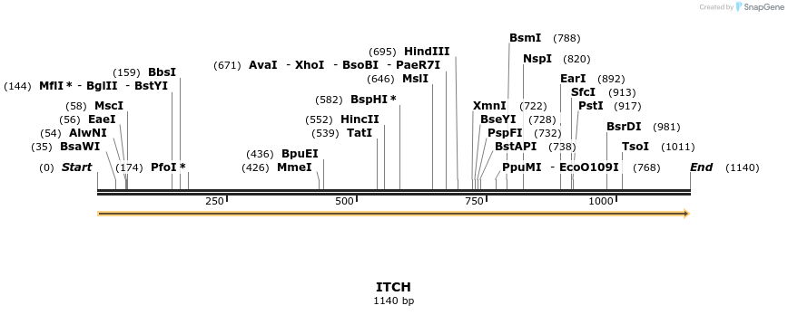 124161_map
