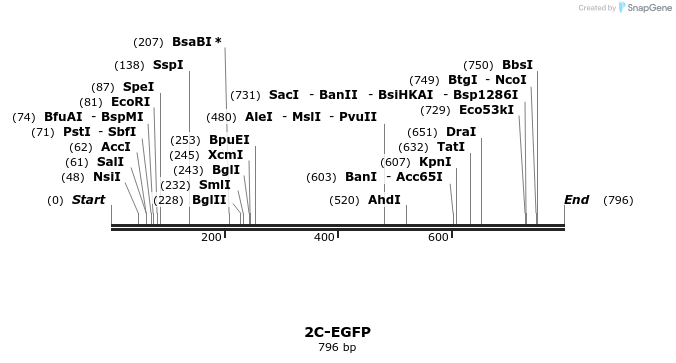 124162_map