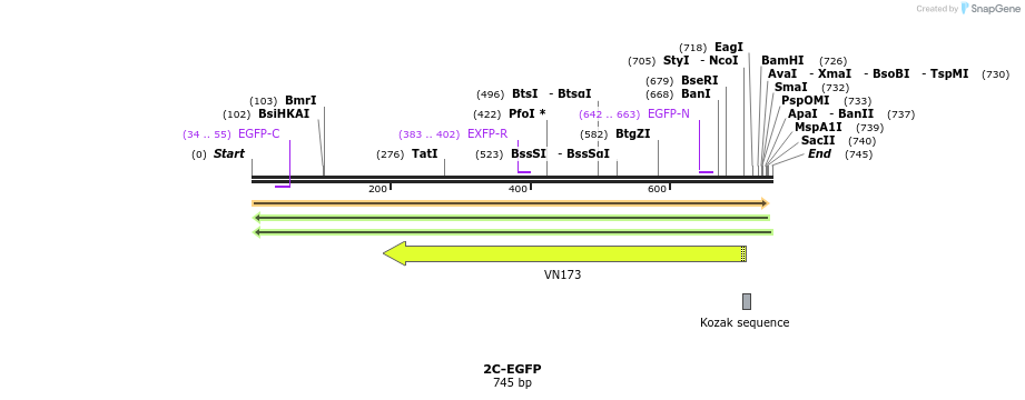 124163_map