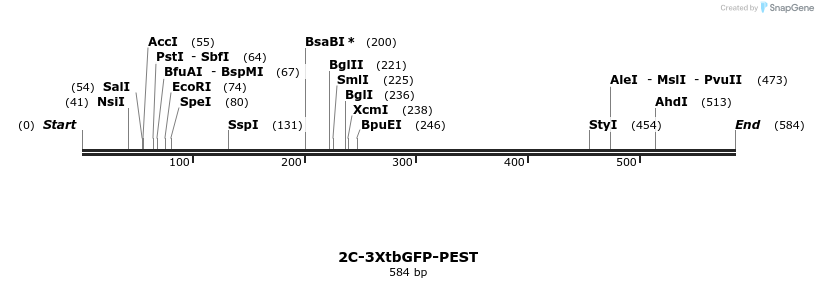 124164_map