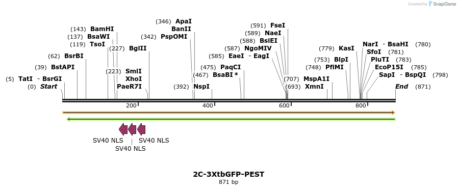 124165_map