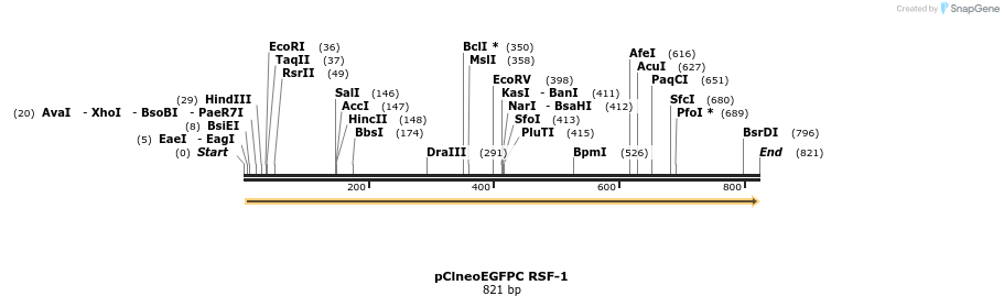 124172_map