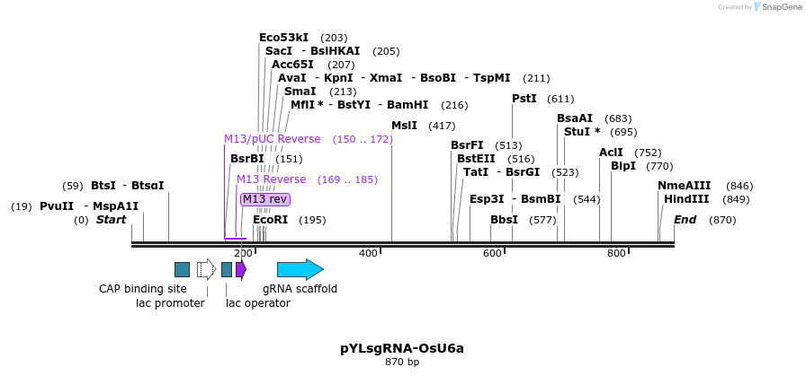 124173_map