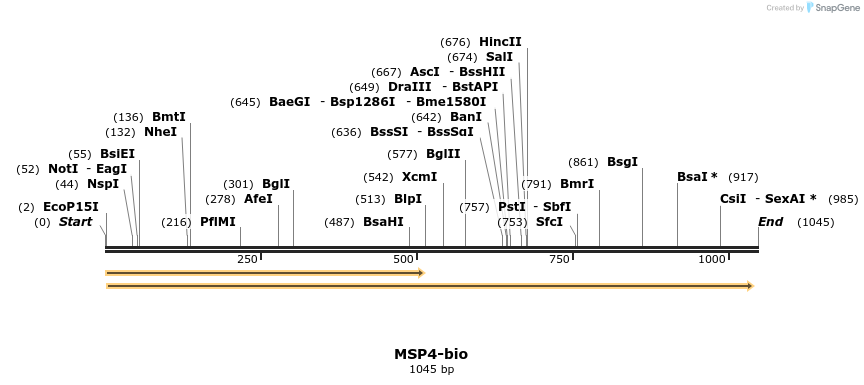 124174_map