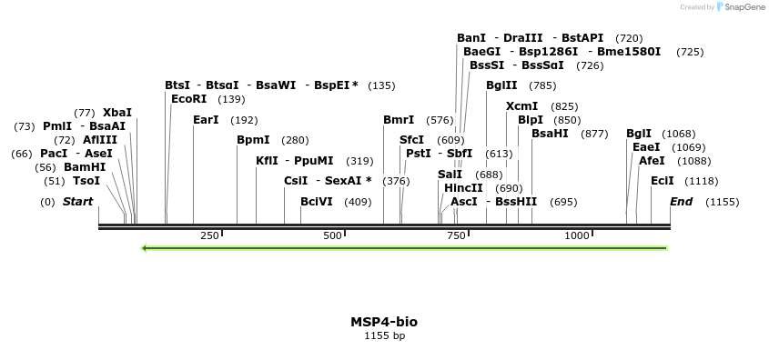 124175_map