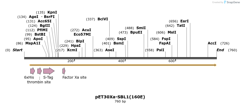 124176_map
