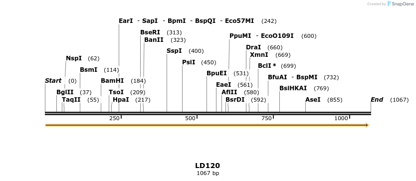 124177_map