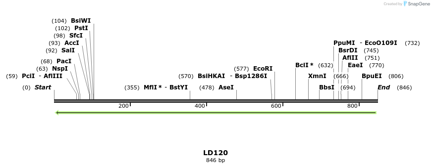 124178_map