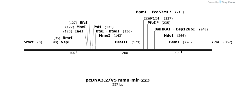 12418_map