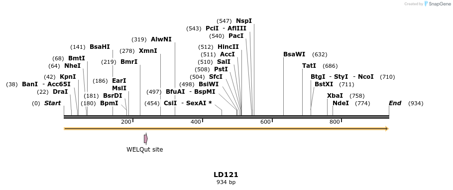 124180_map