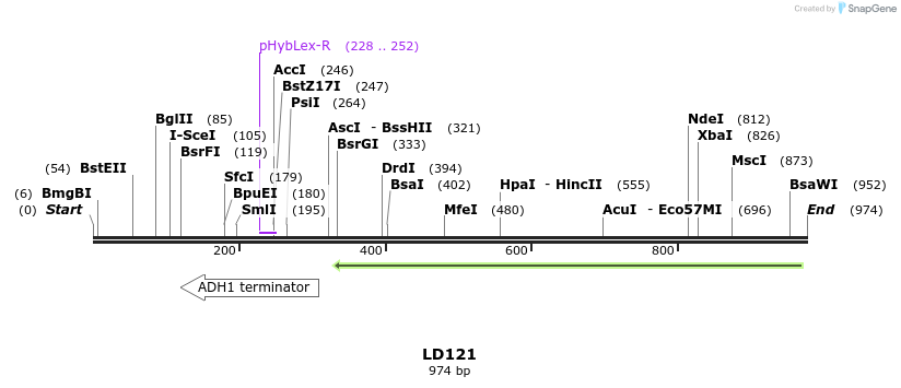 124181_map