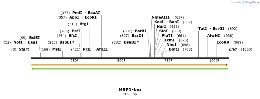 124182_map